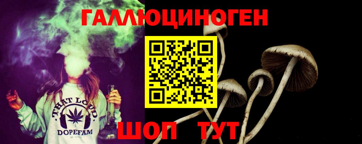 где купить наркоту  Галлюциногенные грибы мицелий  Вход с VPN  Галлюциногенные грибы мицелий  Красноармейск 